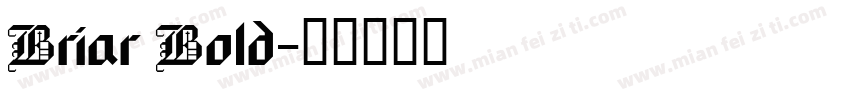 Briar Bold字体转换